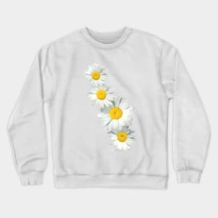 Shasta Daisies Crewneck Sweatshirt